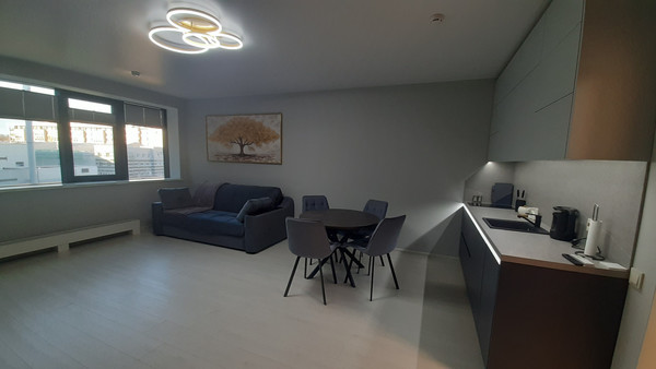 Сдам однокомнатную (1-комн.) квартиру, Средний В.О. пр-кт, 87к3, Санкт-Петербург г