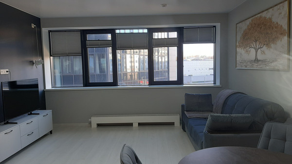 Сдам однокомнатную (1-комн.) квартиру, Средний В.О. пр-кт, 87к3, Санкт-Петербург г