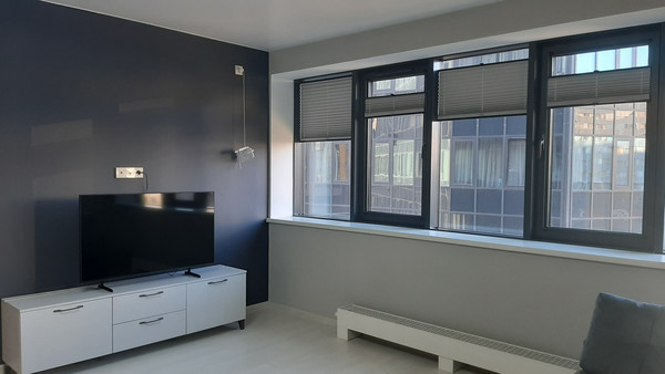 Сдам однокомнатную (1-комн.) квартиру, Средний В.О. пр-кт, 87к3, Санкт-Петербург г