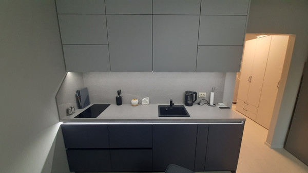 Сдам однокомнатную (1-комн.) квартиру, Средний В.О. пр-кт, 87к3, Санкт-Петербург г