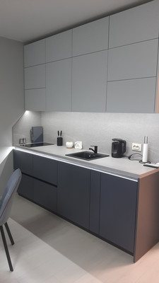 Сдам однокомнатную (1-комн.) квартиру, Средний В.О. пр-кт, 87к3, Санкт-Петербург г