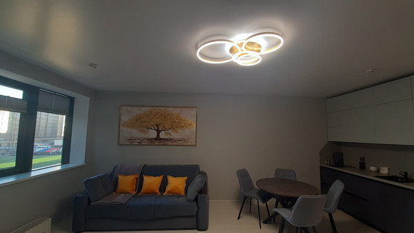 Сдам однокомнатную (1-комн.) квартиру, Средний В.О. пр-кт, 87к3, Санкт-Петербург г