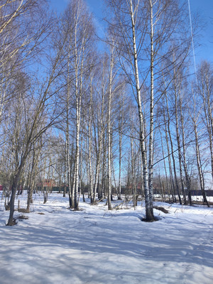 Продам участок 23,64 соток, Садоводство, ДНТ Обухово тер, Раменское г, 0 км от города