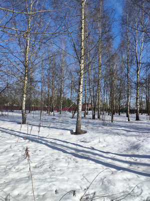 Продам участок 23,64 соток, Садоводство, ДНТ Обухово тер, Раменское г, 0 км от города