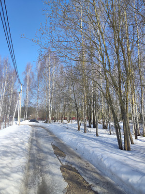 Продам участок 23,64 соток, Садоводство, ДНТ Обухово тер, Раменское г, 0 км от города