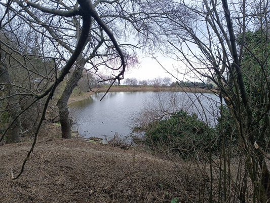 Продам участок 3,5 соток, ИЖС, Водоемная ул, Лавровое с, 0 км от города