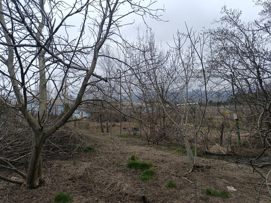 Продам участок 3,5 соток, ИЖС, Водоемная ул, Лавровое с, 0 км от города