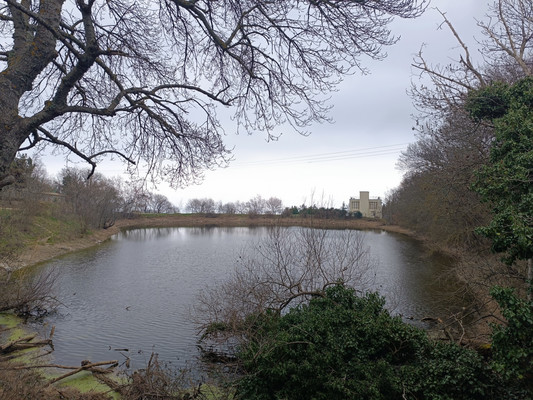 Продам участок 3,5 соток, ИЖС, Водоемная ул, Лавровое с, 0 км от города