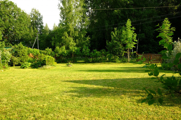 Продам дачу, Ельня тер. СНТ, 81, Ельня д, 0 км от города