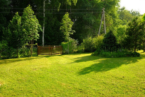 Продам дачу, Ельня тер. СНТ, 81, Ельня д, 0 км от города