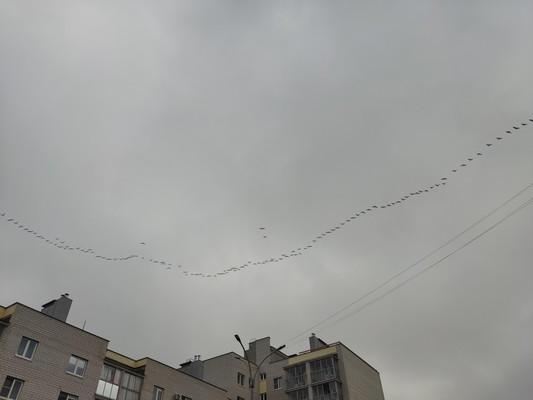 Продам однокомнатную (1-комн.) квартиру, Озёрная ул, 14к3, Великий Новгород г