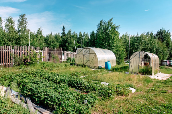 Продам дачу, СОК Строитель 11 км автодороги Х-М-Т снт, 1, Ханты-Мансийск г, 0 км от города