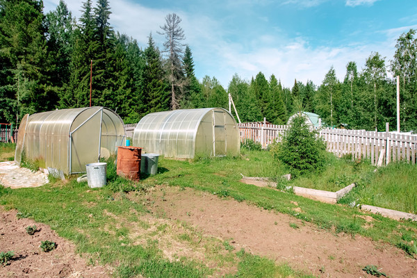 Продам дачу, СОК Строитель 11 км автодороги Х-М-Т снт, 1, Ханты-Мансийск г, 0 км от города