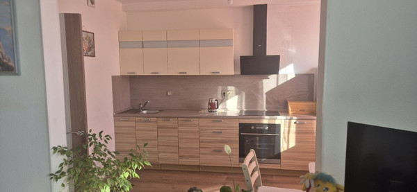 Продам однокомнатную (1-комн.) квартиру, Голландская (Янила Кантри мкр) ул, 3к1, Янино-1 гп