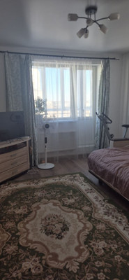 Продам однокомнатную (1-комн.) квартиру, Голландская (Янила Кантри мкр) ул, 3к1, Янино-1 гп