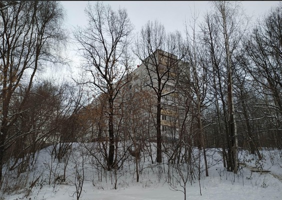 Продам трехкомнатную (3-комн.) квартиру, Парковая ул, 18, Казань г