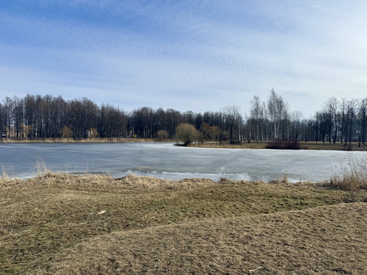 Продам однокомнатную (1-комн.) квартиру, Раумская ул, 15, Колпино г