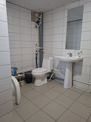 Продам коттедж, Пушкина ул, 4, Плетниха д, 0 км от города