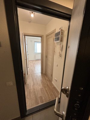 Сдам однокомнатную (1-комн.) квартиру, Чарушинская ул, 24к1, Санкт-Петербург г