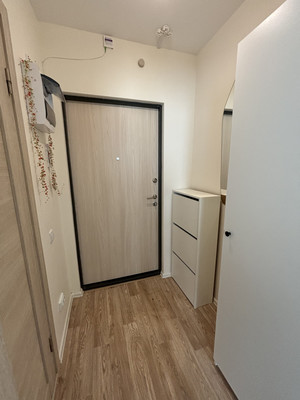 Сдам однокомнатную (1-комн.) квартиру, Чарушинская ул, 24к1, Санкт-Петербург г