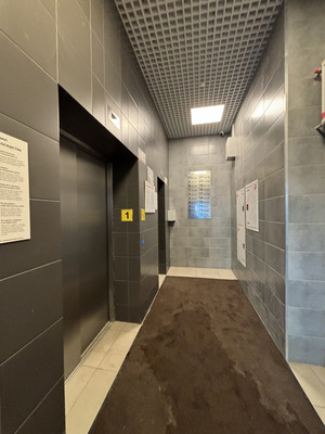 Сдам однокомнатную (1-комн.) квартиру, Чарушинская ул, 24к1, Санкт-Петербург г