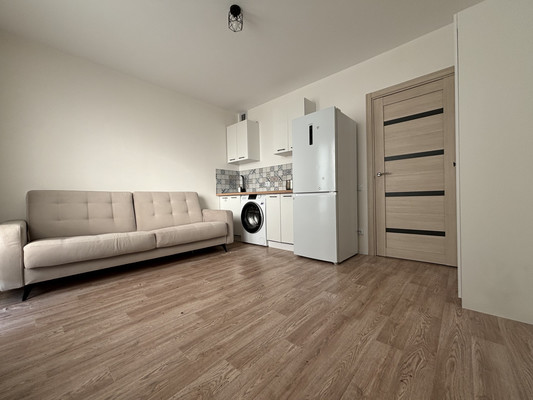 Сдам однокомнатную (1-комн.) квартиру, Чарушинская ул, 24к1, Санкт-Петербург г