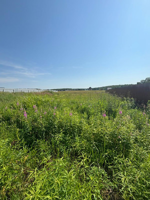 Продам участок 20 соток, Фермерское хоз., Бершово д, 0 км от города