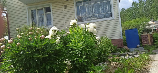 Продам дом, СНТ Луч массива Заречное тер, Тосно г, 0 км от города