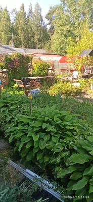 Продам дом, СНТ Луч массива Заречное тер, Тосно г, 0 км от города