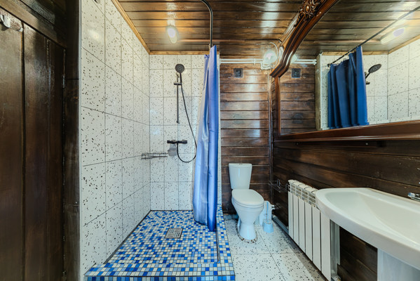 Продам дом, Золотарева А.А. ул, 12, Большие Борницы д, 0 км от города