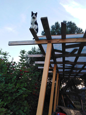 Продам дачу, Юбилейное тер. СНТ, 0 км от города