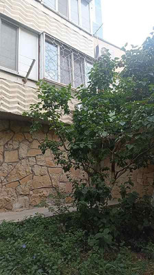 Продам трехкомнатную (3-комн.) квартиру, Карамзина ул, 25, Новороссийск г