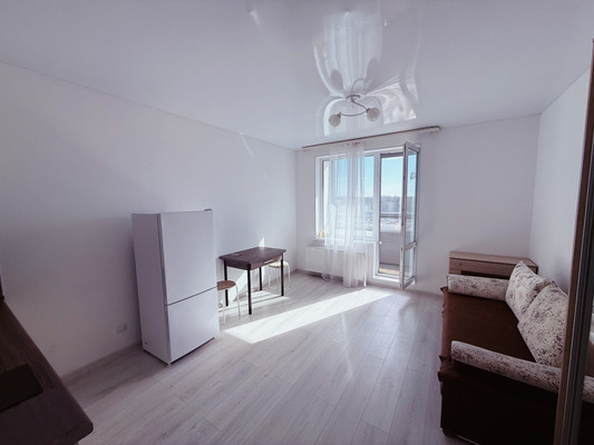 Сдам однокомнатную (1-комн.) квартиру, Суздальское ш, 20к4, Санкт-Петербург г