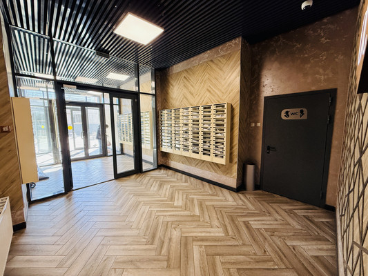 Сдам однокомнатную (1-комн.) квартиру, Суздальское ш, 20к4, Санкт-Петербург г