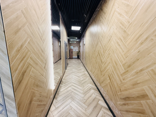 Сдам однокомнатную (1-комн.) квартиру, Суздальское ш, 20к4, Санкт-Петербург г