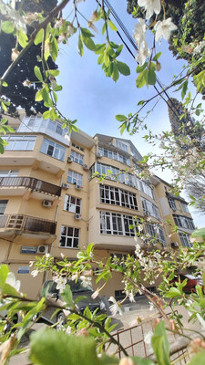 Продам однокомнатную (1-комн.) квартиру, Калужская (Центральный р-н) ул, 23к1, Сочи г