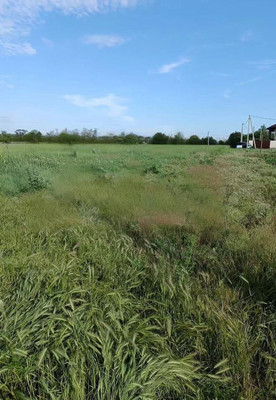 Продам участок 6 соток, ИЖС, Дружная ул, Суворов-Черкесский п, 0 км от города