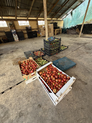 Продам землю для коммерческого использования 750 соток, Фермерское хоз., Мира ул, Гостагаевская ст-ца