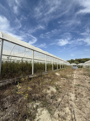 Продам землю для коммерческого использования 750 соток, Фермерское хоз., Мира ул, Гостагаевская ст-ца