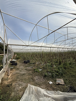 Продам землю для коммерческого использования 750 соток, Фермерское хоз., Мира ул, Гостагаевская ст-ца