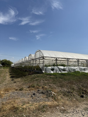 Продам землю для коммерческого использования 750 соток, Фермерское хоз., Мира ул, Гостагаевская ст-ца