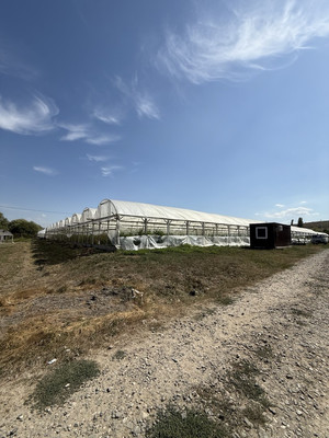 Продам землю для коммерческого использования 750 соток, Фермерское хоз., Мира ул, Гостагаевская ст-ца