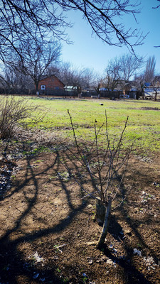 Продам участок 20 соток, ИЖС, Береговая ул, 37, Волгодонск г, 0 км от города