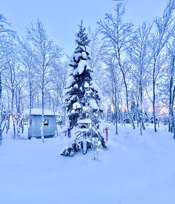 Продам дом, Лесная ул, 21/3, Кола г, 0 км от города