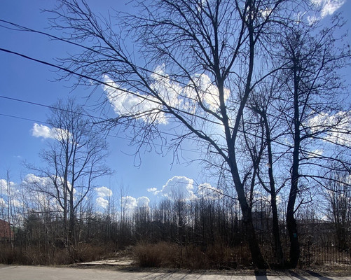 Продам участок 24 соток, ИЖС, Чайковского ул, Санкт-Петербург г, 0 км от города