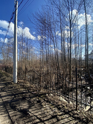 Продам участок 24 соток, ИЖС, Чайковского ул, Санкт-Петербург г, 0 км от города