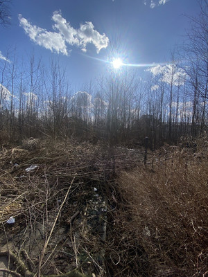 Продам участок 24 соток, ИЖС, Чайковского ул, Санкт-Петербург г, 0 км от города