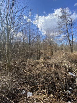 Продам участок 24 соток, ИЖС, Чайковского ул, Санкт-Петербург г, 0 км от города