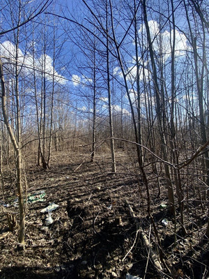 Продам участок 24 соток, ИЖС, Чайковского ул, Санкт-Петербург г, 0 км от города