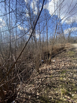 Продам участок 24 соток, ИЖС, Чайковского ул, Санкт-Петербург г, 0 км от города